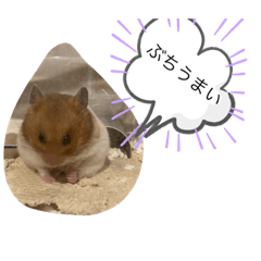 [LINEスタンプ] すもちゃんの1日