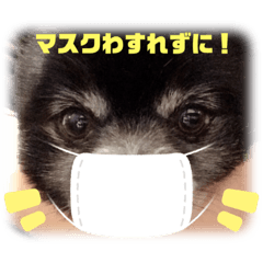 [LINEスタンプ] 黒ポメのポンタくん5