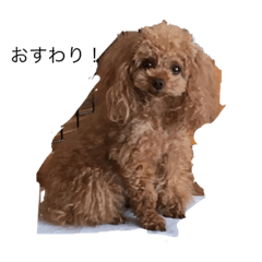 [LINEスタンプ] 可愛い犬三びきしゅう。