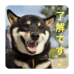 [LINEスタンプ] まろあんスタンプ2
