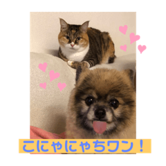 [LINEスタンプ] miruco＆mei