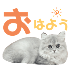 [LINEスタンプ] ネッネの日常❷