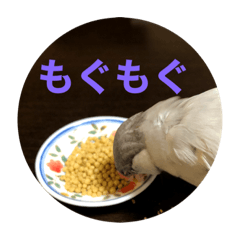 [LINEスタンプ] 日々クルターク