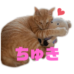 [LINEスタンプ] どろんこ猫三兄弟