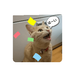 [LINEスタンプ] Loveちゅらピ