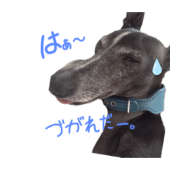 [LINEスタンプ] ワンワンパラダイスPart2