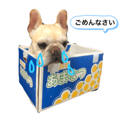 [LINEスタンプ] 犬の気持ちだよ