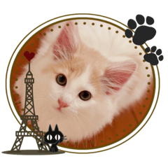 [LINEスタンプ] ポルチーニちゃん