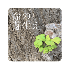 [LINEスタンプ] 逆に考えると汎用性が高いといえるスタンプ
