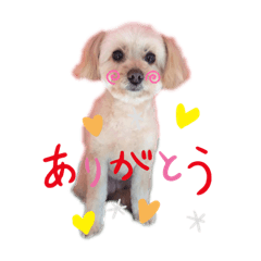 [LINEスタンプ] 愛犬ララ2