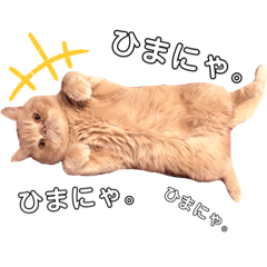 [LINEスタンプ] まさぶりあずと仲間たち①