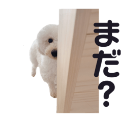 [LINEスタンプ] ビショプーのとうにゅう