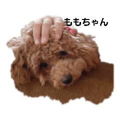 [LINEスタンプ] ももちゃんとぴーす