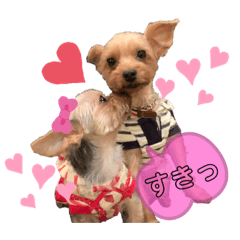 [LINEスタンプ] みみちゃんとぽぽちゃん