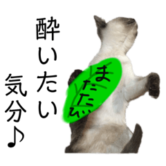 [LINEスタンプ] 家で遊ぶ、シャム風ねこのスタンプ！