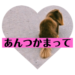[LINEスタンプ] 津軽弁とキット