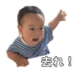 [LINEスタンプ] かっとんさ