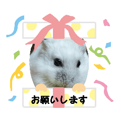 [LINEスタンプ] ハムスターんぷ4