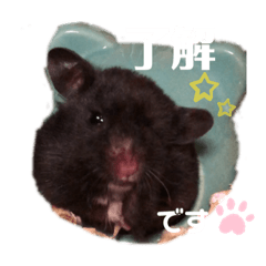[LINEスタンプ] くろんぼの日常