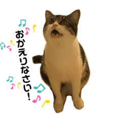 [LINEスタンプ] 若ちゃん3歳