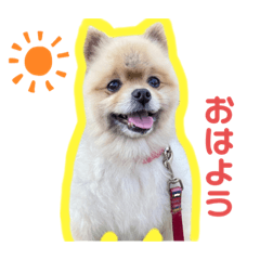 [LINEスタンプ] はじめましてチョコくんです！
