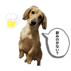 [LINEスタンプ] ウィル日常生活スタンプoriginal②