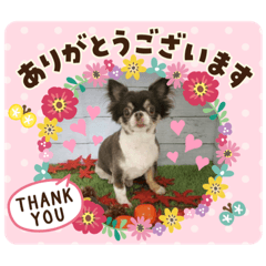 [LINEスタンプ] 村中犬3