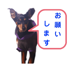 [LINEスタンプ] 短くお返事