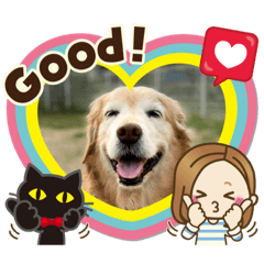 [LINEスタンプ] ゴールデンさくらの日々❸