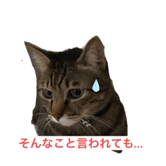 [LINEスタンプ] ぴーちゃん0713