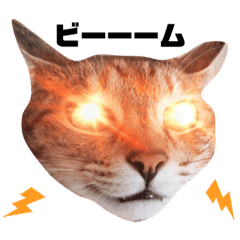 [LINEスタンプ] 黒子の毎日