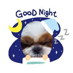 [LINEスタンプ] シーズーのココちゃん11ヶ月