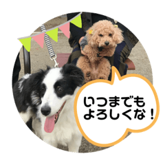 [LINEスタンプ] ケロレオバズロク