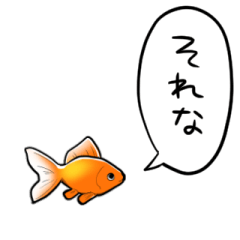 [LINEスタンプ] しゃべるよ金魚の画像（メイン）