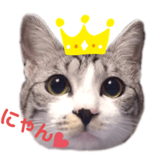 [LINEスタンプ] 葉っぱチャンネルスタンプ 第2弾
