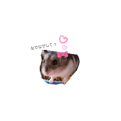 [LINEスタンプ] ぼすの日常