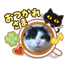 [LINEスタンプ] プリプリあんたろう2