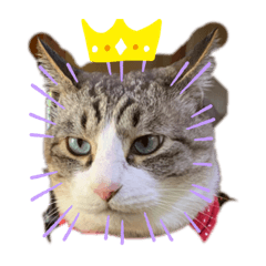 [LINEスタンプ] てんちゃんの家