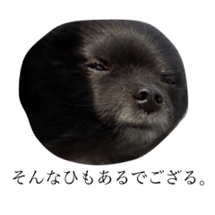 [LINEスタンプ] 渡辺福太郎2