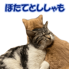 [LINEスタンプ] 愛しのほたてとししゃも