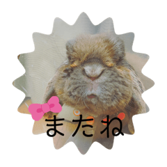 [LINEスタンプ] 山本ホタルのスタンプ
