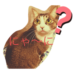 [LINEスタンプ] あんとわ