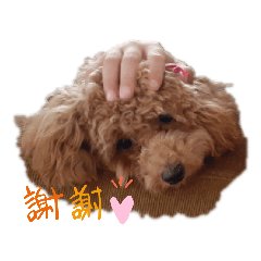 [LINEスタンプ] ももとぴーす。