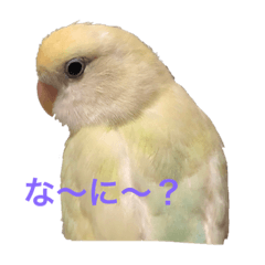 [LINEスタンプ] チビちゃん達の日常