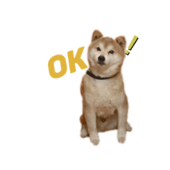 [LINEスタンプ] 山田家のどうぶつたち