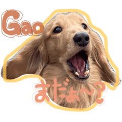 [LINEスタンプ] dog もか’s time