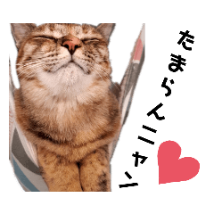 [LINEスタンプ] 可愛いニャンズ②＋ワン