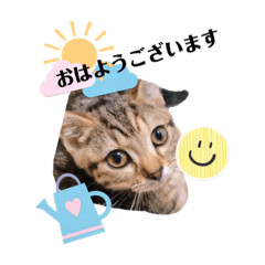 [LINEスタンプ] ルアナな日々