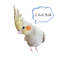 [LINEスタンプ] コタローの気持ち2
