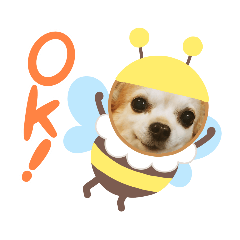 [LINEスタンプ] チワワのベティーさん